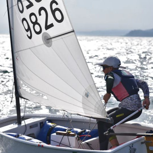 CD Sails Optimist Segel 'DRS-' (33/34-38kg)