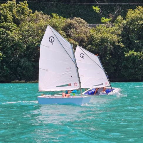 CD Sails Optimist Segel 'DRS-' (33/34-38kg)