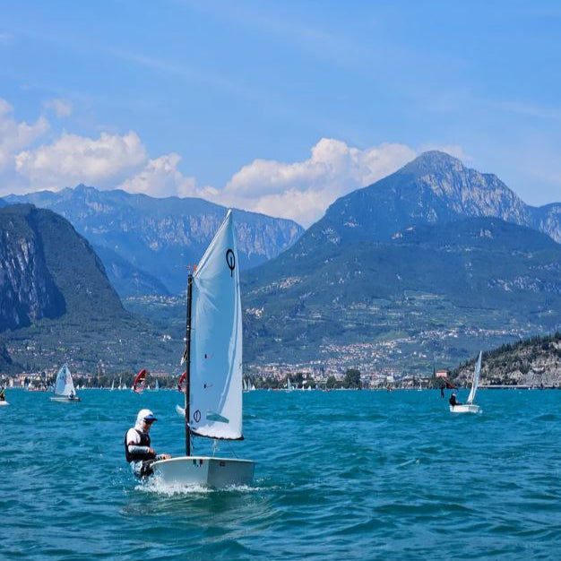 CD Sails Optimist Segel 'DRS-' (33/34-38kg)