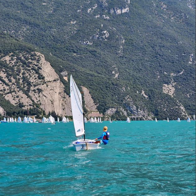 CD Sails Optimist Segel 'DRS-' (33/34-38kg)