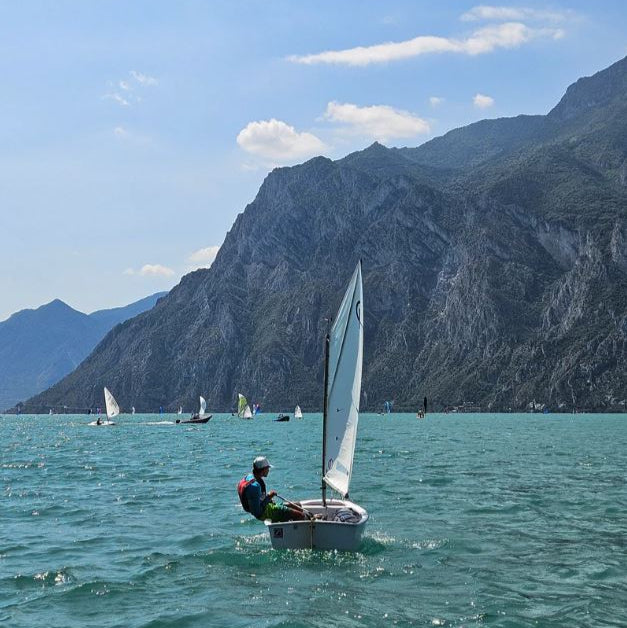 CD Sails Optimist Segel 'DRS-' (33/34-38kg)