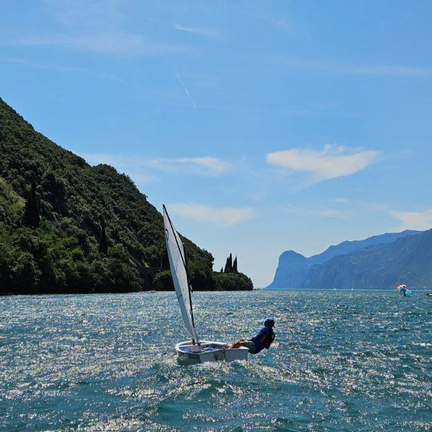 CD Sails Optimist Segel 'DRS-' (33/34-38kg)