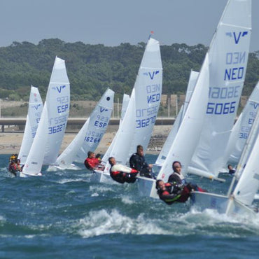 Faccenda Varuien Rumpf Version Regatta bei AquaEquip.de