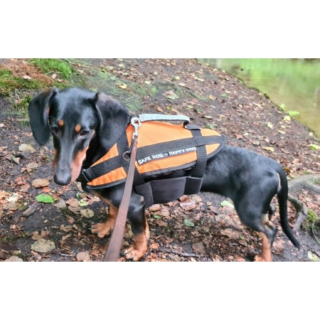 Hunde Schwimmweste