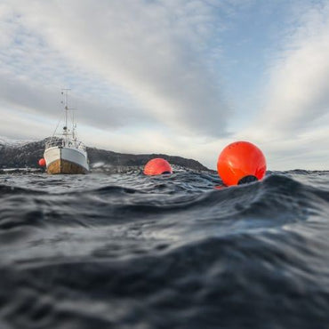 Polyform Fender 'Typ A'