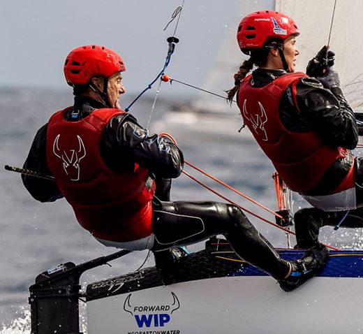 WIP Helm 'ProWip 2.0'