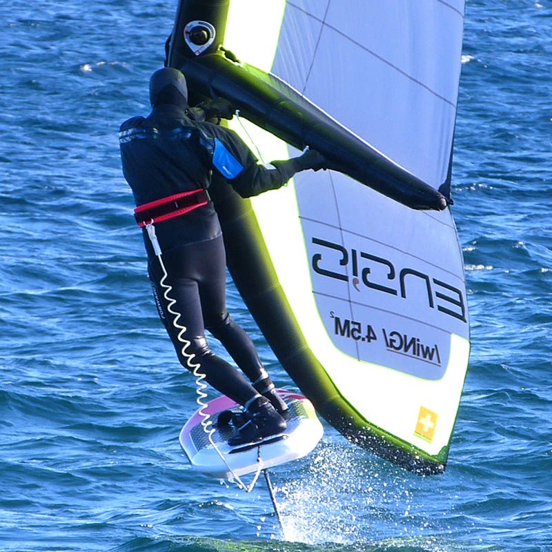 WIP Trapezgurt 'Wing Belt 2.0'