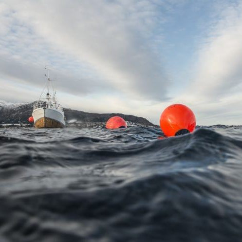 Polyform Fender 'Typ A'