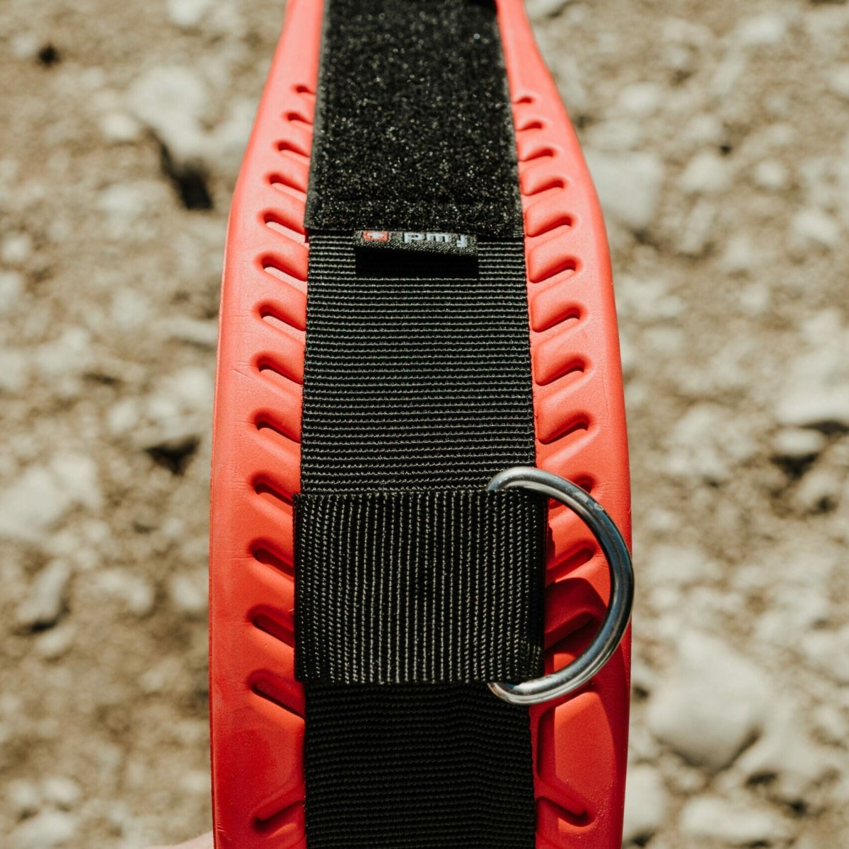 WIP Trapezgurt 'Wing Belt 2.0'