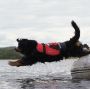 Crewsaver Hunde-Schwimmweste 'Petfloat'